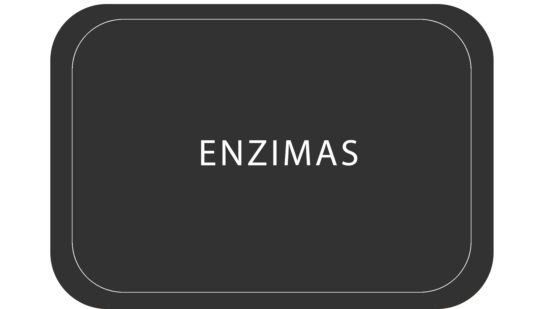 enzimas